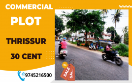 30 cent Commercial  plot for sale  at Kanimangalam ,Thrissur