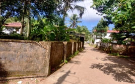 14 cent Plot For Sale at Mullassery  Thrissur