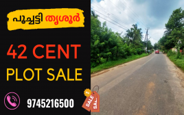 42 cent Plot For Sale Puchatty,Thrissur