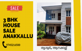 4 cent 1350 SQF Villa For Sale at Anakallu Thrissur