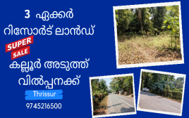 3 Acre  Land For Sale near  Kallur  ,Thrissur 