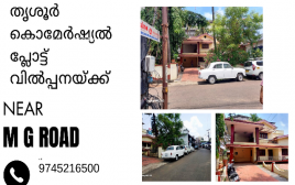 15 Cent Commercial Plot For Sale at Pottayil Line M G Road , Thrissur 