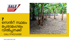 7 Cent Residential Plot For Sale at Peramangalam, Thrissur 