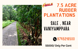7.5 Acre Rubber Plantation For Sale at Neelippara  near N H Vaniamppara  Thrissur  