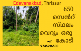 650 cent  Land  Sale at Edavanakkad,Paliakkara,Thrissur 