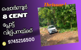 8 Cent Residential Plot For Sale at Shornoor,Thrissur
