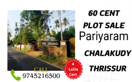 60 Cent Plot Sale Near Pariyaram Chalakudy  ,Thrissur, 
