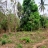 3.5 Acre Land For Sale near Kolozhy, Athekkad,Thrissur 