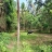 2 Acre land  For Sale Varadium ,Mundoor, Thrissur 