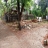 5 Cent Plot For Sale at Thaloore,Ollur,Thrissur