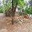 5 Cent Plot For Sale at Thaloore,Ollur,Thrissur