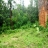 10 Acre land For Sale at Painkod,shornoor,thrissur