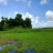 1. 25 Acre Mini Island For Sale at Mapranam,,Thrissur