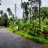 25 Cent Plot For Sale in Ollur