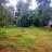 25 cent Land For Sale at Kundukadav, Chengaloor, Thrissur