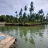4 Acre Sea Facing Land For Sale/Joint Venture at Chettuva harbour ,Thrissur